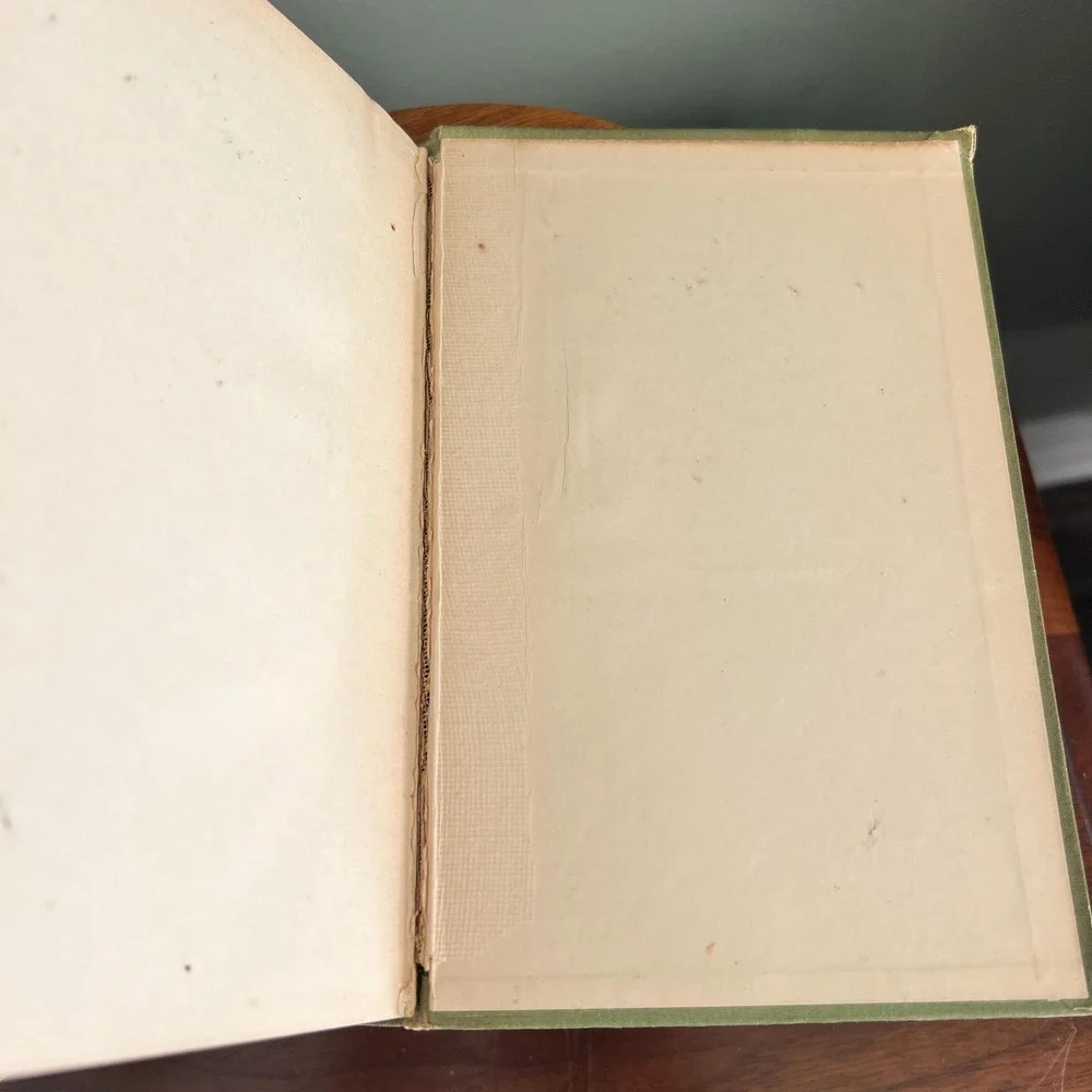 Antique 1902 Book The Strength Of Th Weak By Chauncey C. Hotchkiss 1st Edition - Picture 10 of 11
